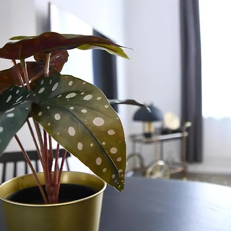 Au Centre De Jambes-namur Sleep & Repeat *